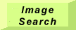 Image Search